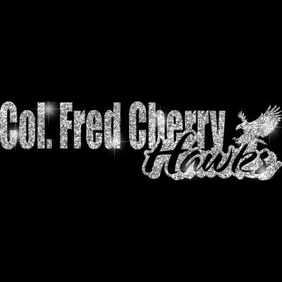 GLT1 SILVER GLITTER Thumbnail